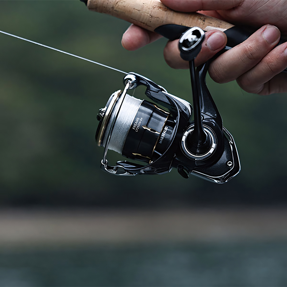 ダイワ 2026 フリームズ スピニングリール、淡水・海水両 - Daiwa Reel Fuego のレビューと価格